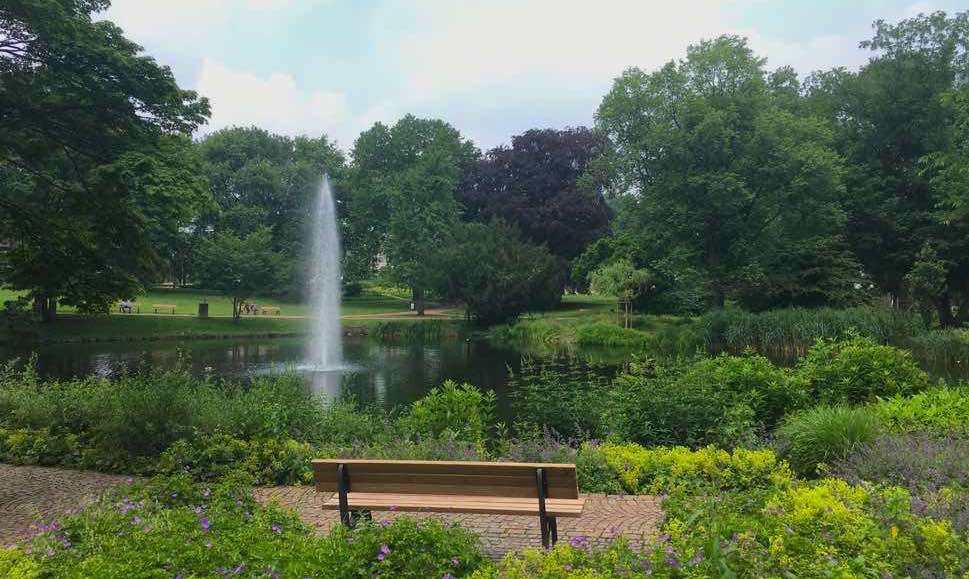 Park landscape with bench