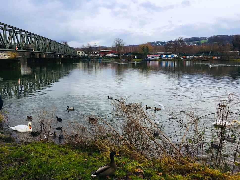 River with weir