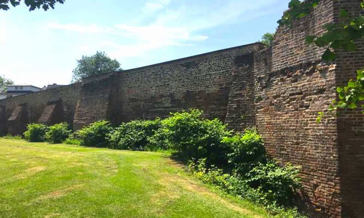 Ancient wall with grass