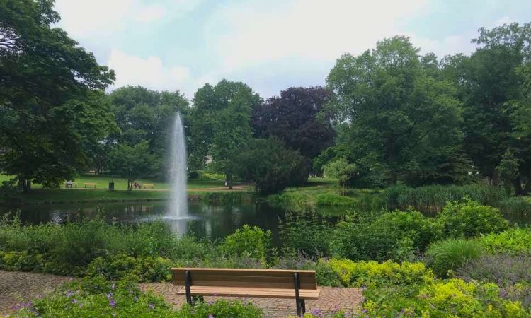 Park landscape with bench