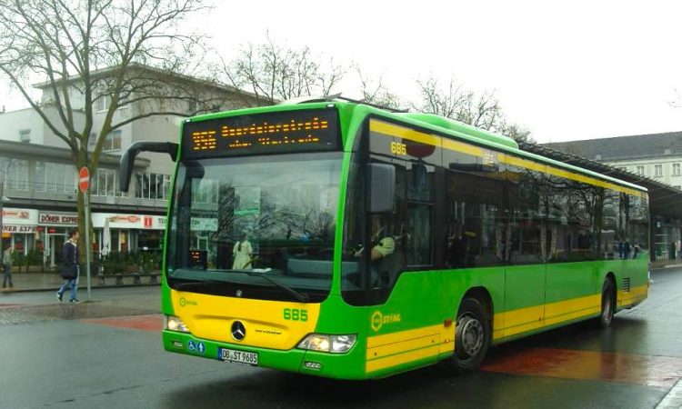 Bus