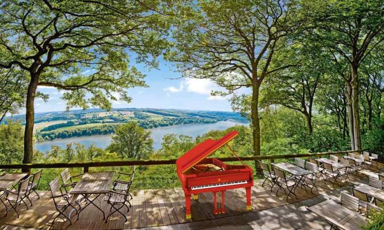 Piano in nature