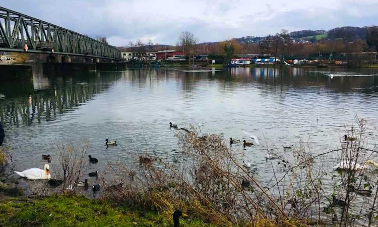 River with weir